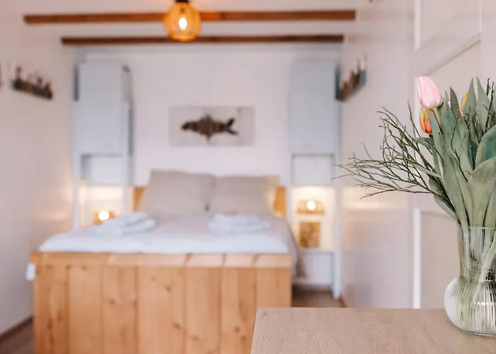 De Jutter - Free Parking * Zandvoort